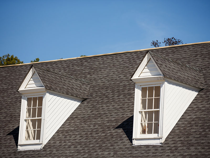 Roof Cleaning