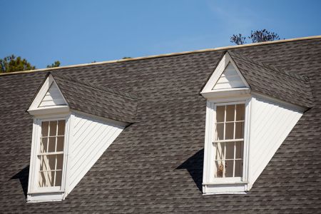 Roof cleaning